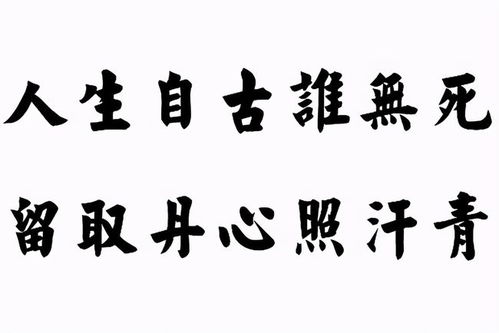 金涂—这个词在我们的日常生活中或许并不是一个为人熟知的术语。但让我们从一个全新的角度出发，深度解析并拓展以“金涂是做什么生意最赚钱”为核心主题的内容，这将是一场深度的洞察和启迪的旅程。