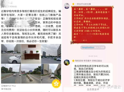 大学生做博主赚钱，选对领域，展现才华与创意