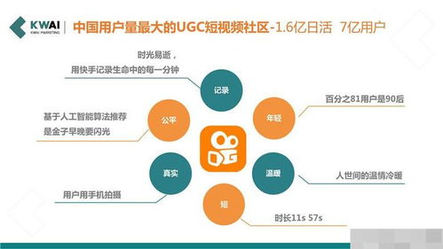 电商盈利类目解析，潜力产品与趋势