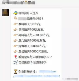 双十一副业赚金潮，多种赚钱机会等你来发掘