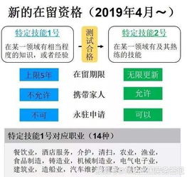 新疆打工者职业选择，多元领域赚收入