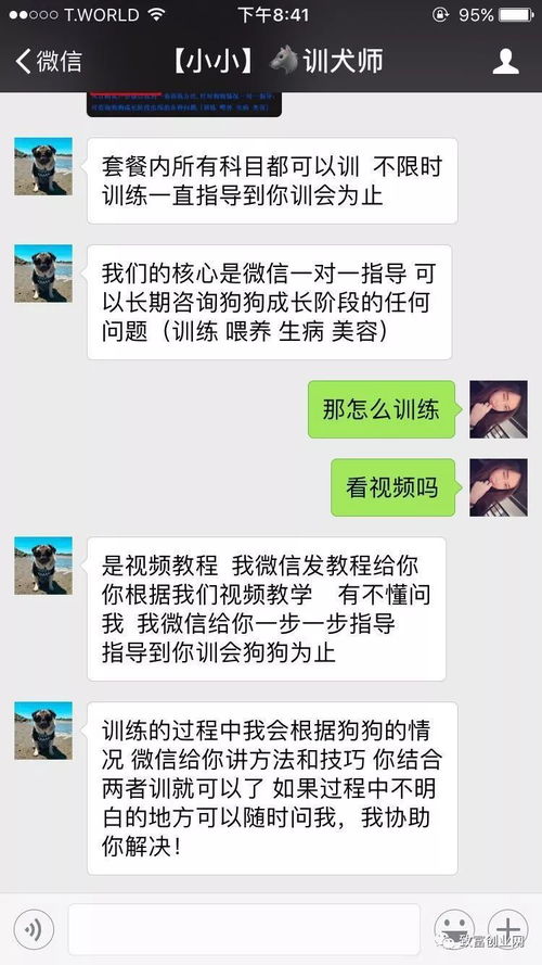 一个疯子做什么好赚钱