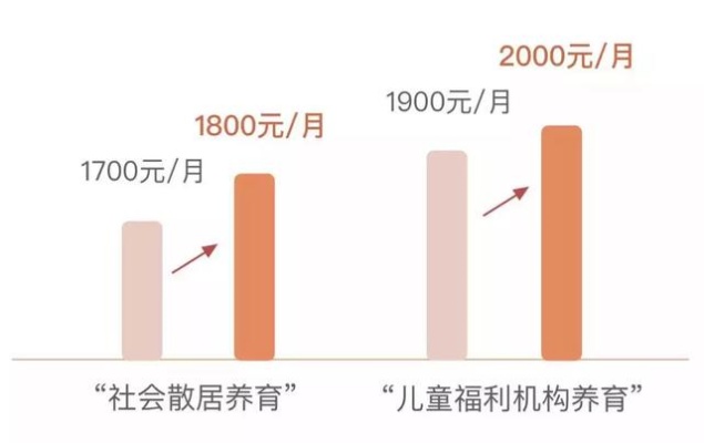 去孤儿院做什么生意赚钱，兼顾社会责任与商业盈利的考量