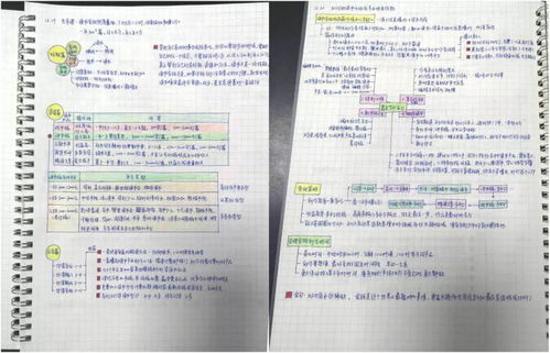 边学边赚，网课时代的新就业模式