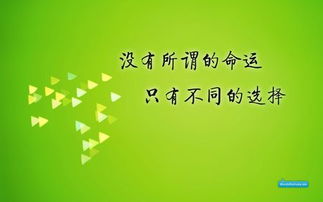 携手变化，探索多元生意，互联网、AI与环保新篇章