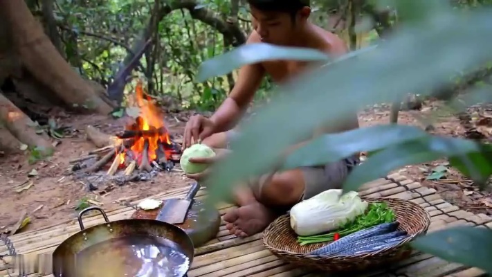 美食视频在野外做什么赚钱