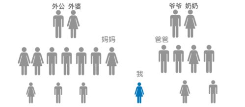 探索11月大宝宝的商业价值，创新视角下的赚钱之道