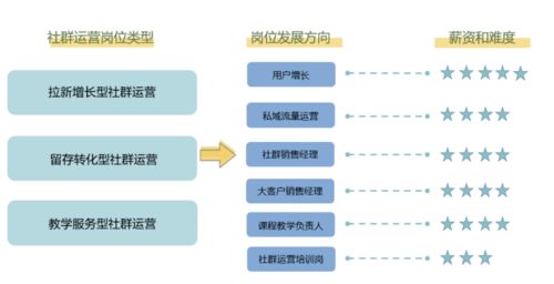 游戏职业探索，从设计到运营，职业路径多样化