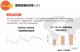 吉林电商发展，地域优势与定制化战略下的盈利新动力