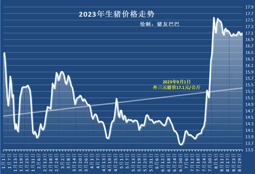 玉米涨价商机探讨，多元探索，慧眼掘“黄金”