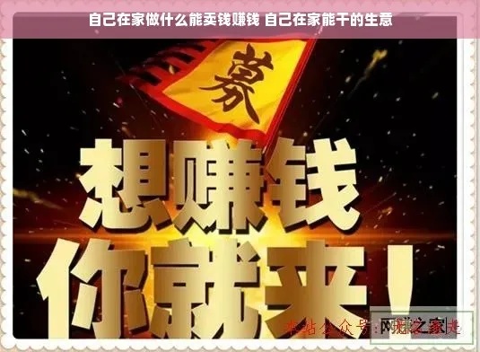 居家创业指南，探索快速盈利的多元模式与策略