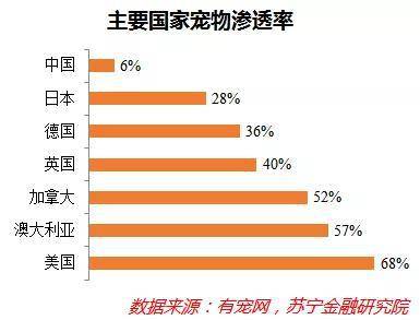 探究东莞赚钱之道——热点小生意市场深度解析