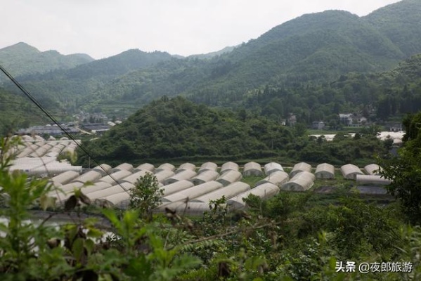 在贵州大山做什么行业赚钱 贵州偏僻山区如何致富