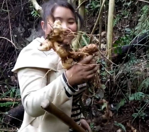 大山里农村做什么最赚钱 大山里搞什么赚钱