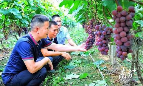 信宜市作为广东省的一个经济中心，其经济活跃、市场繁荣，具有多样化的产业结构和巨大的发展潜力。对于想要在这片土地上赚钱并快速成功的人来说，选择何种行业进入无疑是一大关键。本文将探讨信宜哪些行业具备较好的赚钱潜力和快速发展的可能性，并结合实际情况进行细致分析。