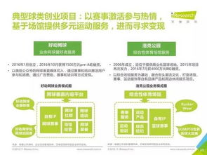 健康与财富双赢，探索新型商业模式下的减肥与赚钱之路