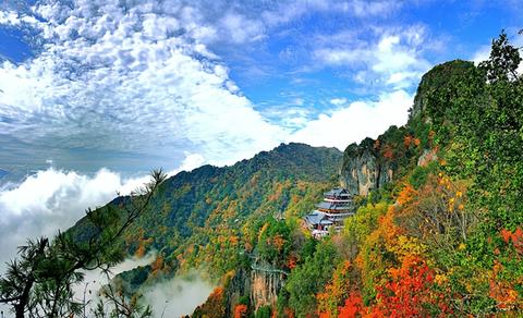 大学生旅游做什么好赚钱，实践之路与创新思考