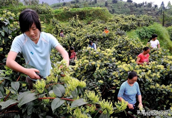 山区做什么行业好赚钱快