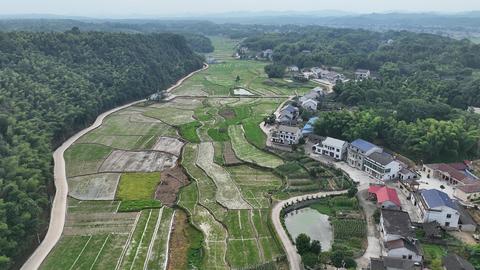 随着乡村经济的发展及市场需求的多元化，养殖业变得尤为兴盛，逐渐带来了新的商机和可能的盈利模式。文章从独特角度探索如何使一头零头猪实现利润最大化，深入分析并展开了一系列有趣且有启发性的商业思考。这些思考将涉及到几个关键环节的分析和一些可能与零散农户业务模式开拓息息相关的研究话题。最终还会给这一系列思路和零头猪养育及个人就业提供参考或指出新的发展方向。