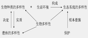 四米二平板运输盈利策略与创新探索，抓住市场机遇，拓展赚钱途径