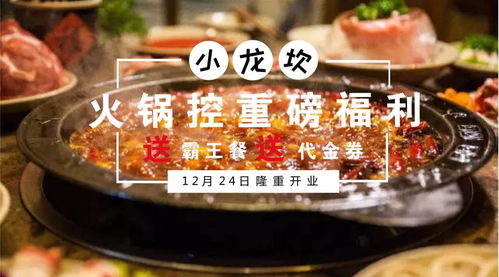 娱乐圈美食创业之道，探寻赚钱新领域