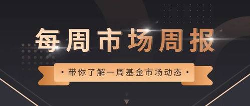 数百元投资何以铸就财富奇迹，慧眼发掘微小生意之黄金机遇