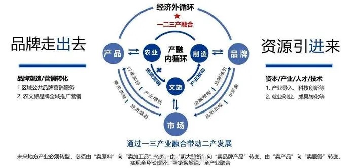 沿海城市农村的掘金机遇，多元化经济的潜力与价值链升级新篇