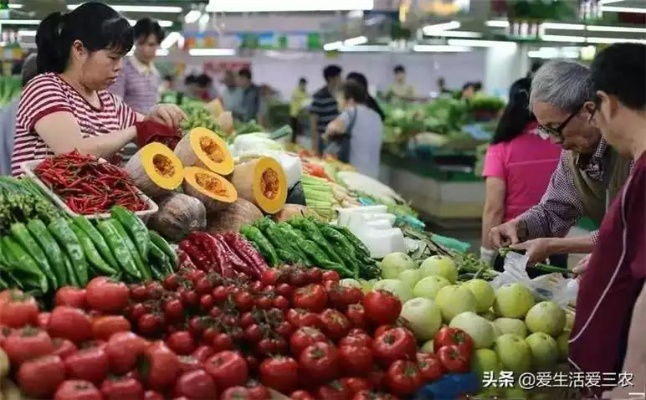 现在菜市场做什么项目赚钱，趋势分析与盈利策略