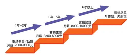 本科毕业后的黄金路，聚焦销售领域的获利之门