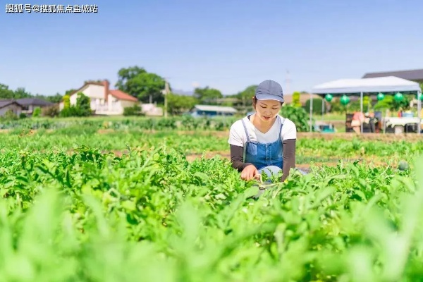 农村下地做什么赚钱快？探索农业领域的高价值之路