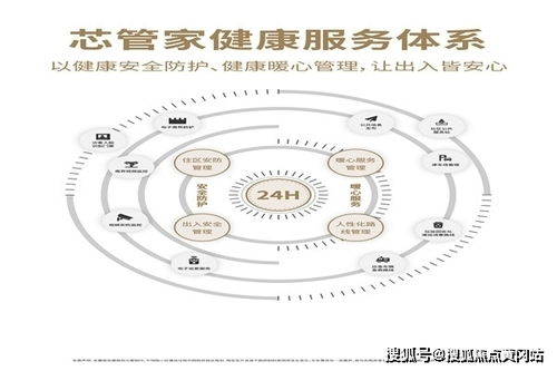 抓住投资的翅膀，选择腾飞的投资方式 —— 研究如何在股票市场获得可观的回报