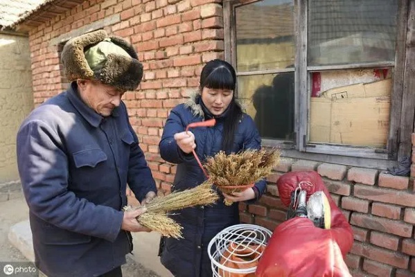 在老家兼职赚钱，灵活高效的乡村就业新模式探讨