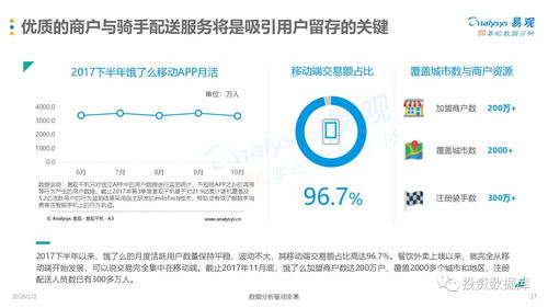 美图秀秀多元化盈利模式与盈利能力分析，深入探索如何通过图像处理技术驱动商业盈利增长