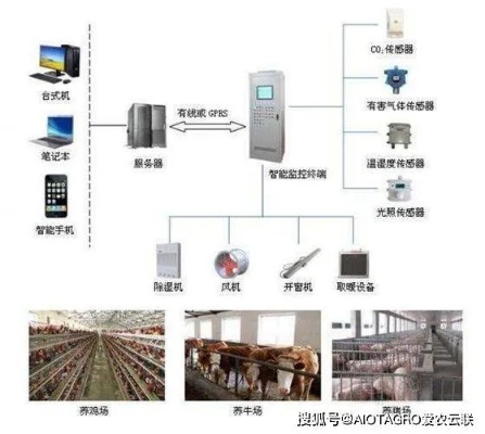 养殖场如何精细化管理和业务创新，实现高效盈利