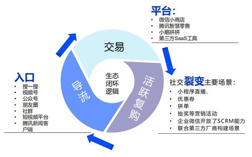 牛肉商机，多元化经营策略，打造赚钱之道的创新实践