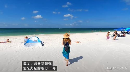 在大海边创业，探索海滨经济的多元化机遇