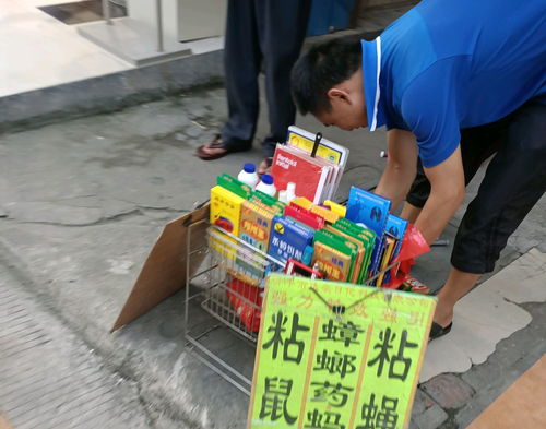 在深圳最赚钱的摆摊项目探究