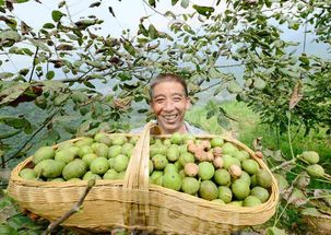 农民工下班做什么好赚钱 农民工做什么最赚钱