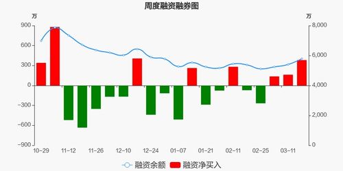 家宁的财富之路，探寻高效收益的商业模式