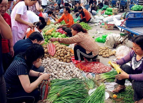 菜市场做什么服务赚钱 菜市场做什么小吃生意好啊