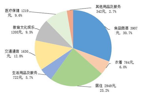 73岁自媒体创业，探索高效收益的自媒体之路