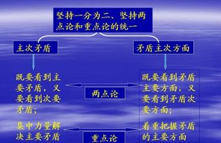 畜牧局的项目盈利点与策略拓展研究