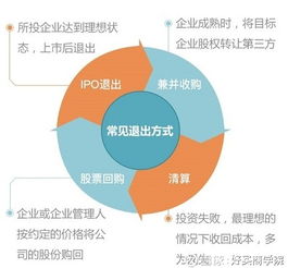 凌云集团业务战略探析，探索高盈利领域之路