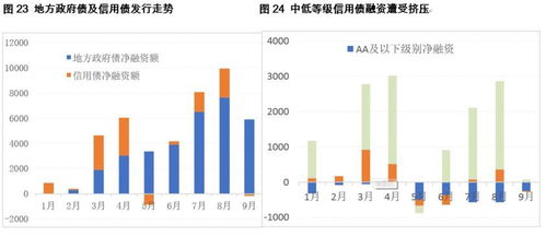 今年股票投资趋势分析，寻找最佳盈利机遇