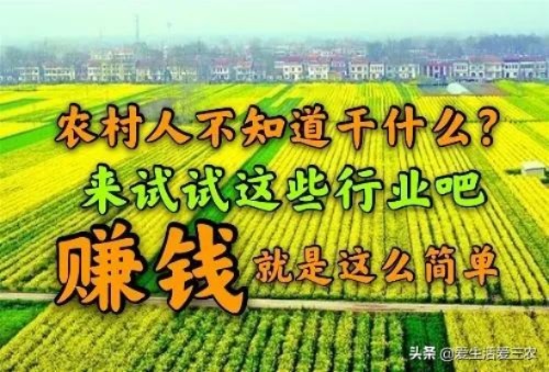 揭秘热点背后的创业故事，对农村有哪些行业和领域有望引爆发掘机盛宴