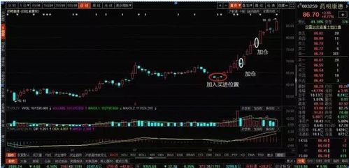 宾馆经营获利之最，瞄准关键点以拓展收益工作策略