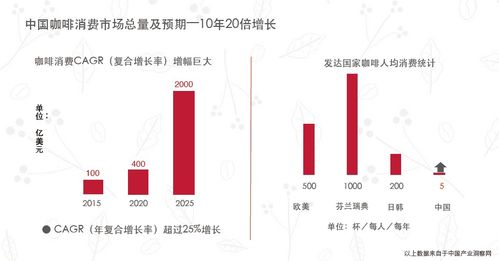 在新别墅区赚钱的机会与挑战，多元化经营策略探索