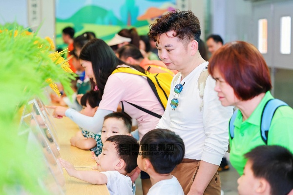 带孩子在广州，多元商机与亲子活动的共赢之路