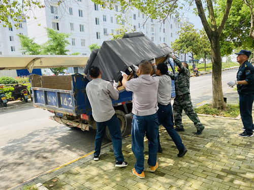 当下环境下，女人要在哪些领域深耕细作赚钱为王