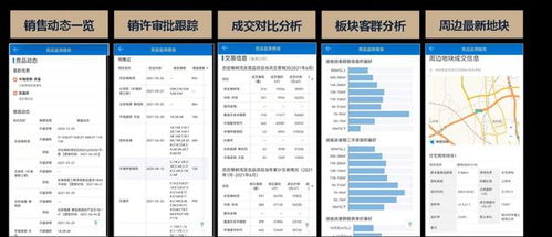 房企销售赚钱加速策略，洞悉市场趋势，精准把握机遇